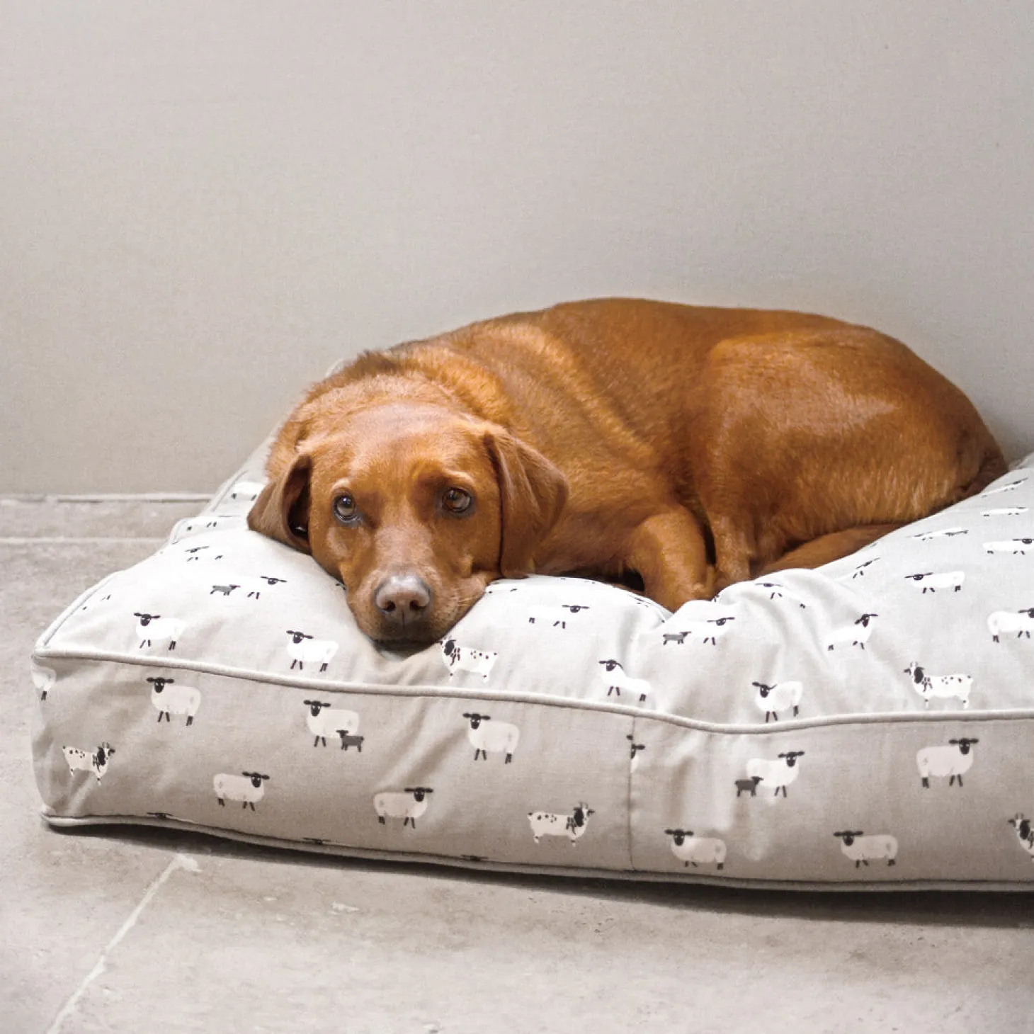 Sheep Pet Mattress