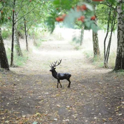 Stag Bronze Sculpture