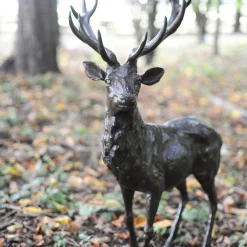 Stag Bronze Sculpture