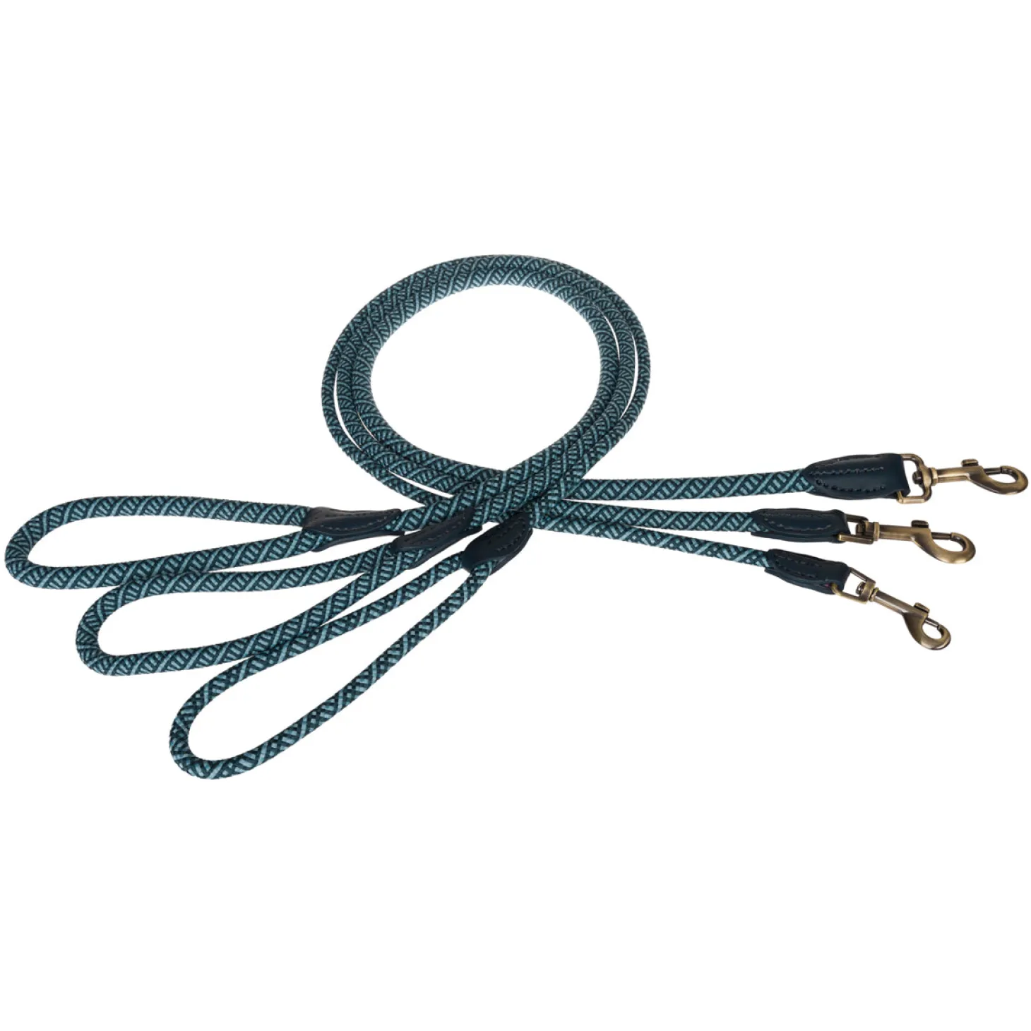 Teal Rope Lead