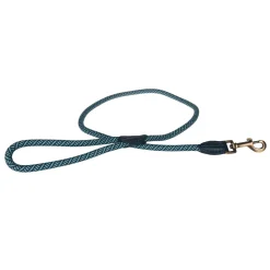Teal Rope Lead