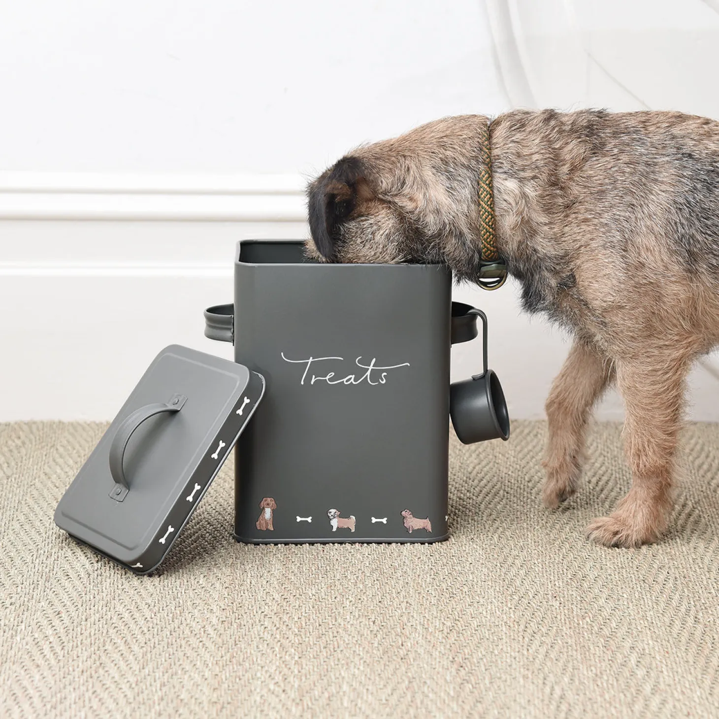 Walkies Storage Tin
