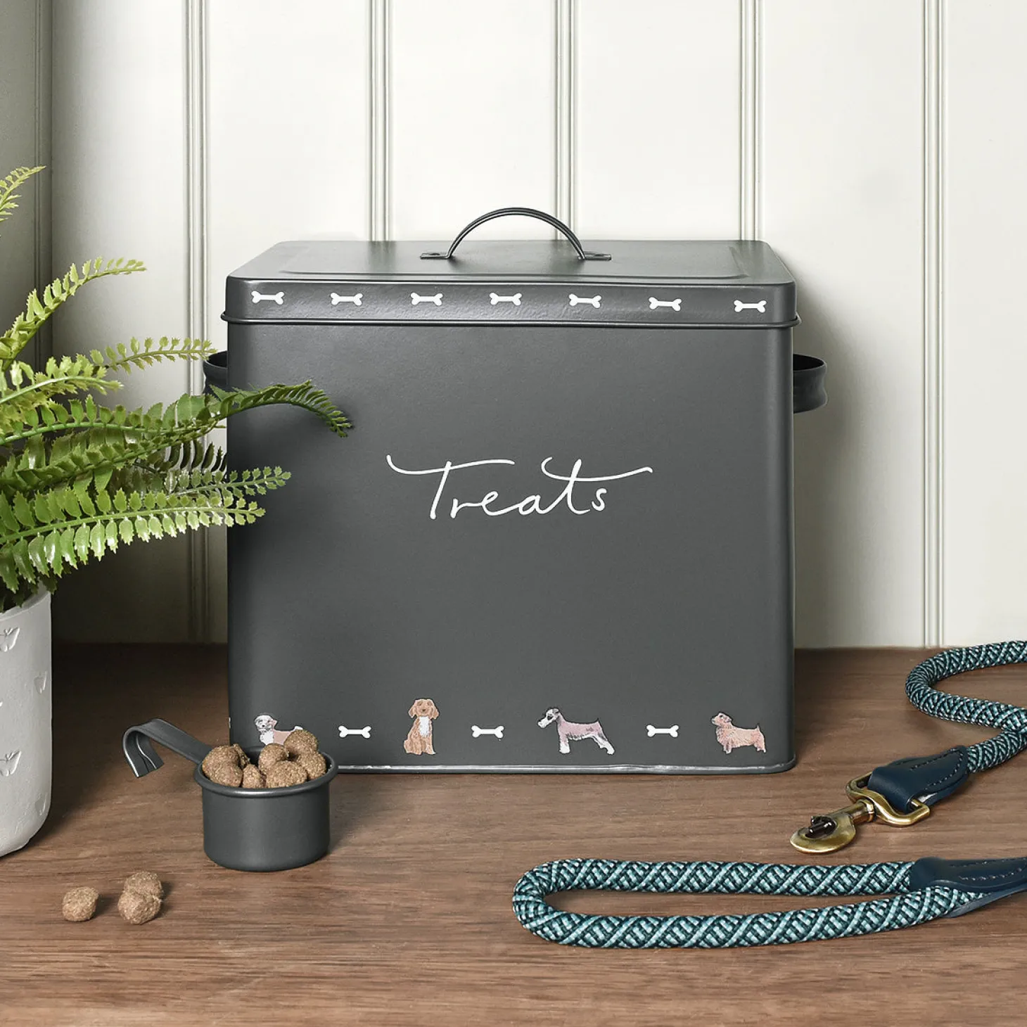 Walkies Storage Tin