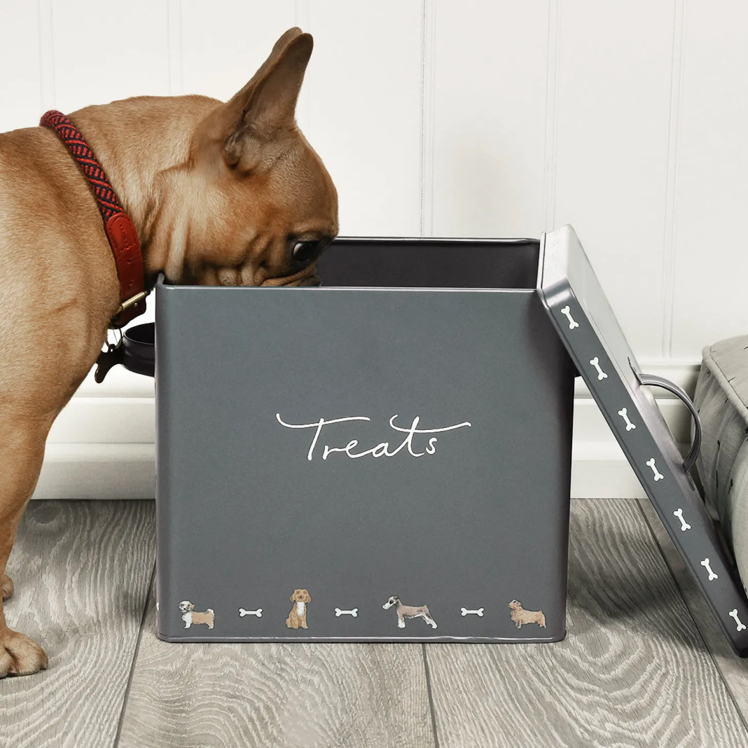 Walkies Storage Tin