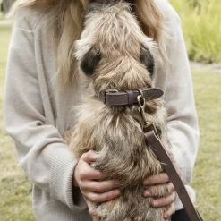 Woof Leather Dog Collar