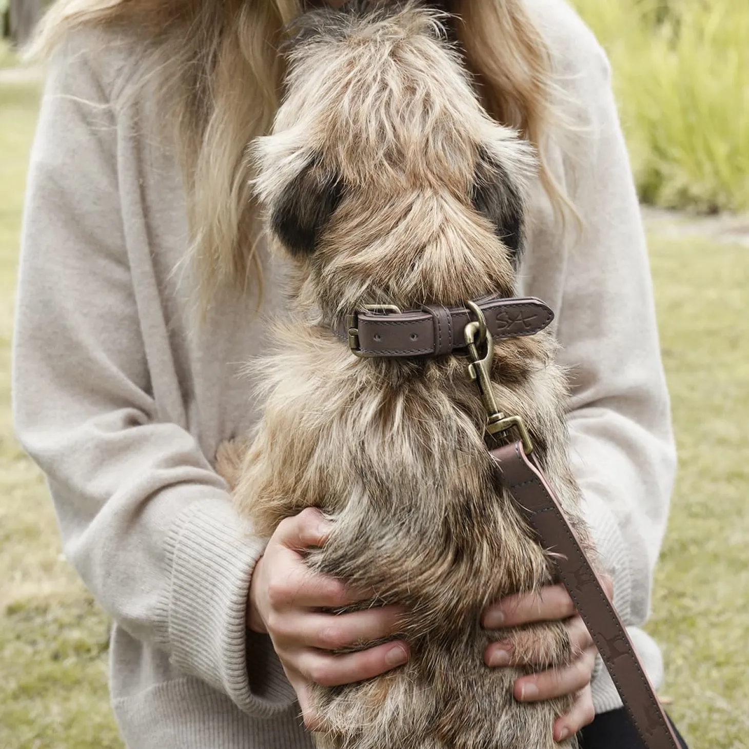 Woof Leather Dog Collar