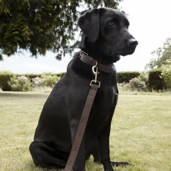 Woof Leather Dog Lead