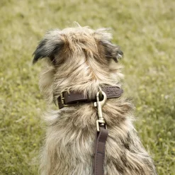 Woof Leather Dog Lead